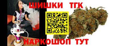 МДПВ Кингисепп