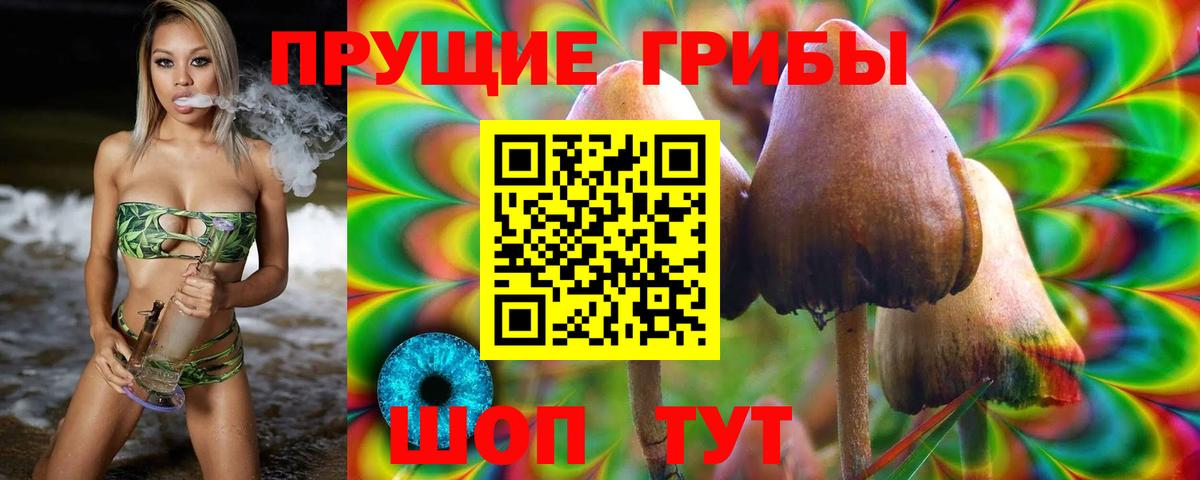 Псилоцибиновые грибы GOLDEN TEACHER Красноуфимск